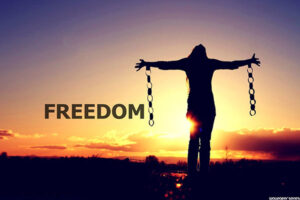 freedom-600